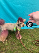 Load image into Gallery viewer, Please Let Me Pet Your Dog Keychain