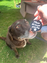 Load image into Gallery viewer, Please Let Me Pet Your Dog Keychain