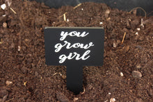 Load image into Gallery viewer, Sassy Plant Stakes - Individual