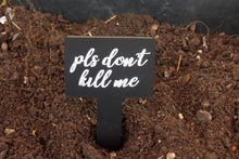 Load image into Gallery viewer, Sassy Plant Stakes - Individual