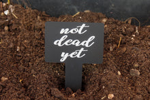 Load image into Gallery viewer, Sassy Plant Stakes - Individual