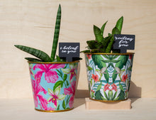 Load image into Gallery viewer, Sassy Plant Stakes - Set of 5