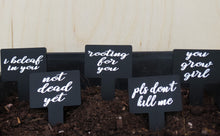 Load image into Gallery viewer, Sassy Plant Stakes - Set of 5