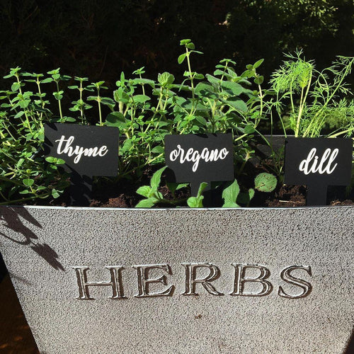 Herb Plant Stakes - Individual